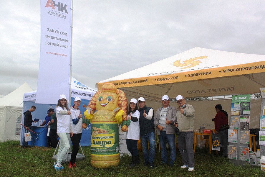 День поля 2019. Амурская область
