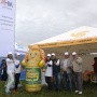 День поля 2019. Амурская область
