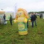 День поля 2019. Амурская область
