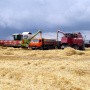 Растениеводство