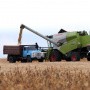 Растениеводство